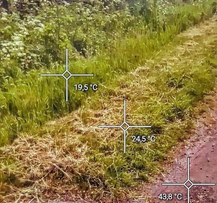 Terreno “incolto”